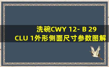 洗碗CWY 12- B 29 CLU 1外形侧面尺寸参数图解